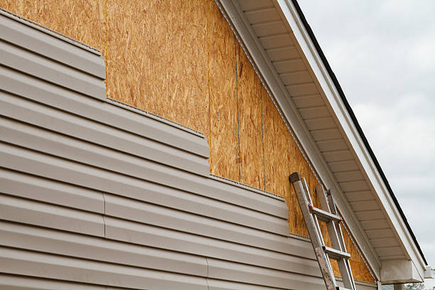 Professional Wood Siding technician working in Bridgeport, IL